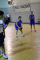 Basket 252043